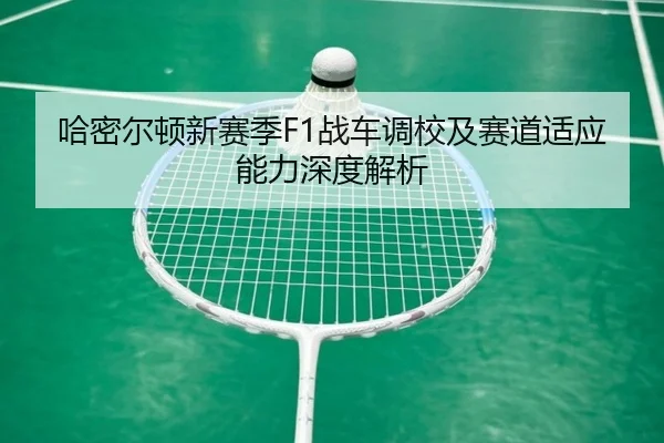 哈密尔顿新赛季F1战车调校及赛道适应能力深度解析